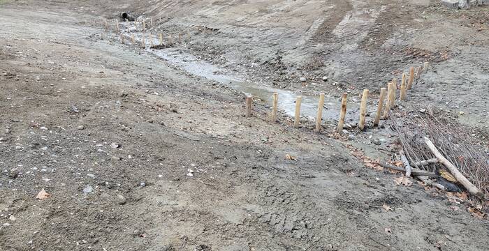 Die Offenlegung des Weidbachs wird im Herbst fertiggestellt. Zwischen die Pfähle werden Weidenäste geflochten, um einen Wasserrückhalt zu erreichen. Foto: Miriam Peretti