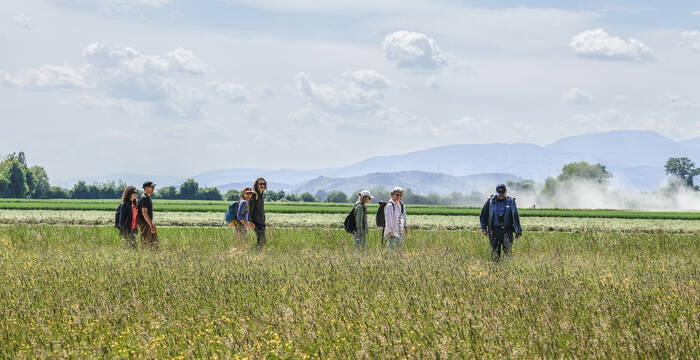 Gruppen von Menschen an einer Pro Natura Exkursion in Altreu