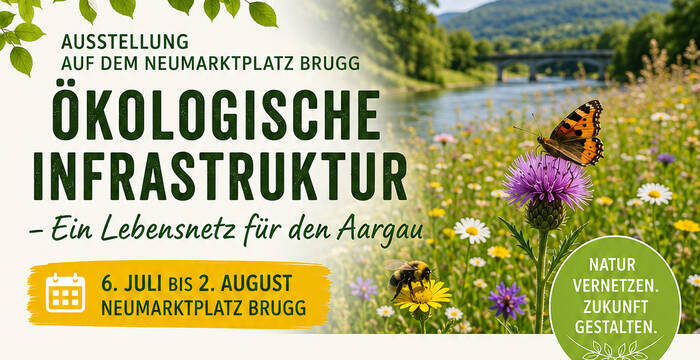 Flyer Ökologische Infrastruktur