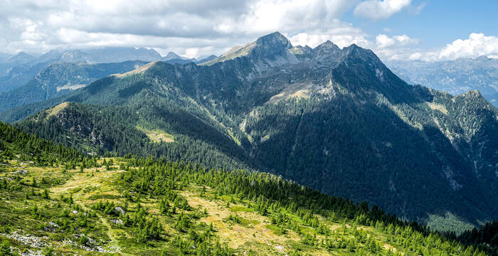 Vue en direction de la réserve forestière de Valle di Lodano (TI)