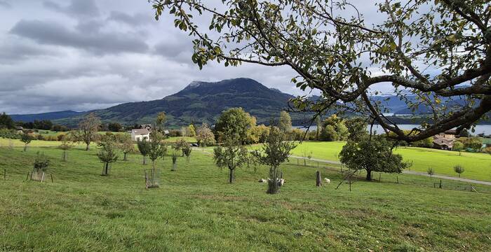 Panoramahof