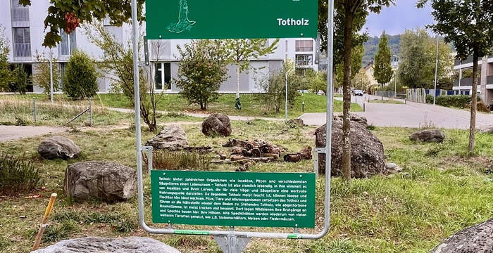 Naturfenster in Mellingen