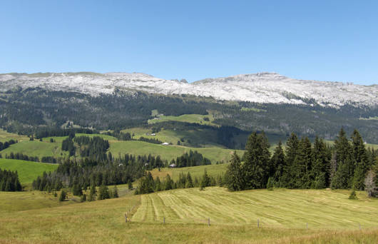 Paysage calcaire de la Schrattenfluh