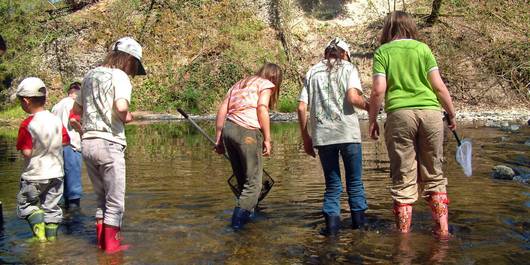 Animation sur les cours d'eau dans la nature © Pro Natura