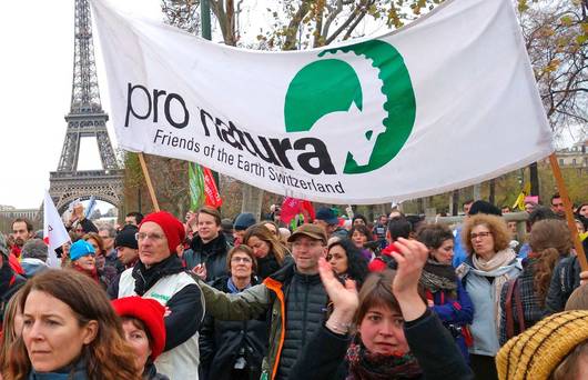 Menschen demonstrieren mit der Pro Natura Friends of the Earth Switzerland Fahne in Paris