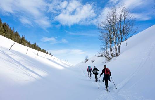 Menschen beim Schneeschuhwandern bei strahlend blauem Himmel in der Winterlandschaft © Pro Natura, Matthias Sorg