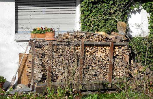 Brûler les tas de branches et éliminer les piles de bois de chauffage privent hérissons, chauves-souris, loirs et petits rongeurs de leur quartier d’hiver.