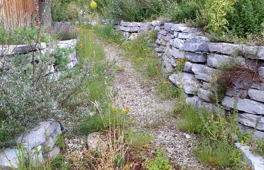 De beaux chemins à l'état naturel comme sur l'image se font de plus en plus rares. 