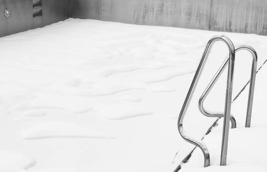 Pour de nombreux petits animaux, les étangs et les piscines peuvent devenir des pièges mortels. 
