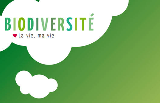 Dossier pédagogique «Biodiversité - la vie, ma vie»