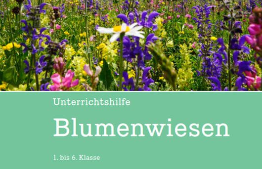 Unterrichtshilfe Blumenwiesen