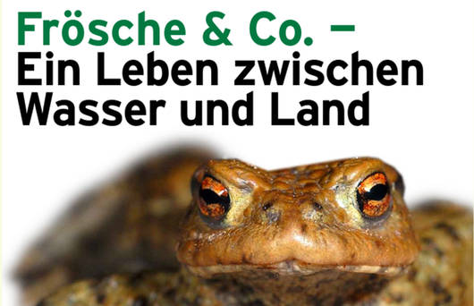 Unterrichtshilfe Frösche & Co. © Pro Natura