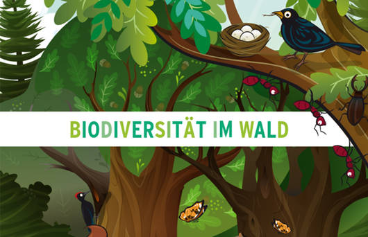 Unterrichtshilfe Biodiversität im Wald © Pro Natura