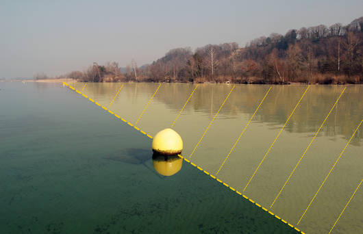 Die gelbe Boje markiert das Schutzgebiet mitten im See