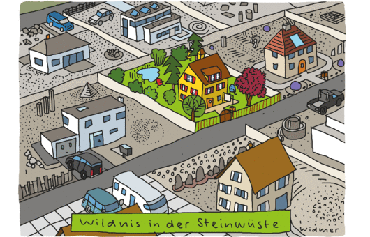 Cartoon von Ruedi Widmer © Ruedi Widmer