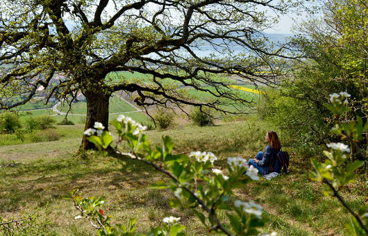 Fabia Vulliamoz im Schutzgebiet Chassagne d’Onnens