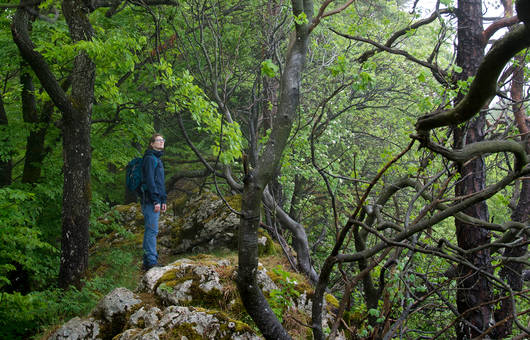 Lesly Helbling auf der Rumpelfluh