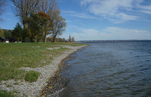 Ufer ohne Wasservogeltrupps