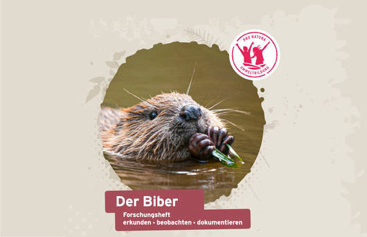 Titelbild Forschungsheft - Der Biber © Pro Natura