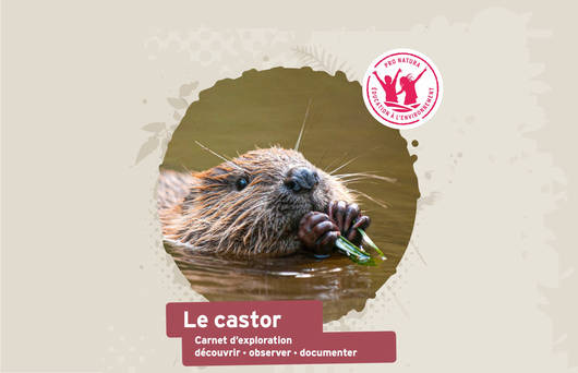 Carnet d’exploration Le Castor de Pro Natura