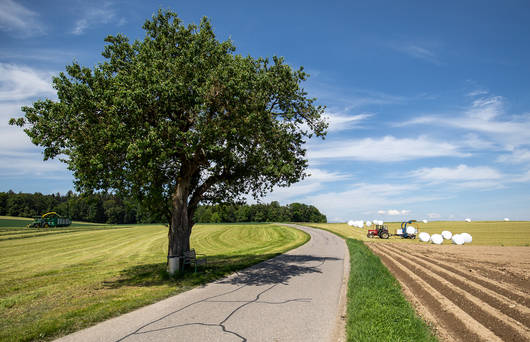 2 Traktoren beim Silo-Einsatz, in der Mitte ein asphaltierter Weg, Silageballen und gemähtes Gras im Hintergrund