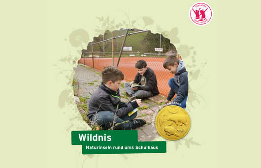 Coverbild Unterrichtshilfe «Wildnis» © Pro Natura