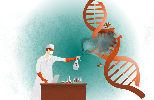 RNA-Pestizide sollen vermeintliche Schädlinge töten, indem sie bei diesen lebenswichtige Gene desaktivieren.