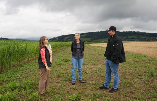 Beratungssituation auf dem Feld