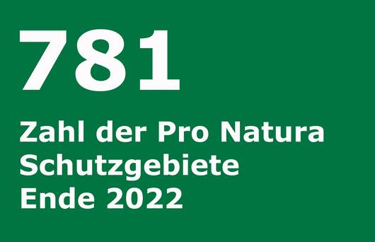 Mehr als 700 Naturschutzgebiete sichert Pro Natura mit Ende 2021