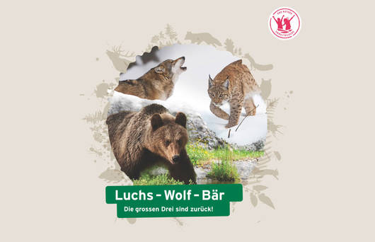 Unterrichtsdossier «Luchs-Wolf-Bär» © Pro Natura 