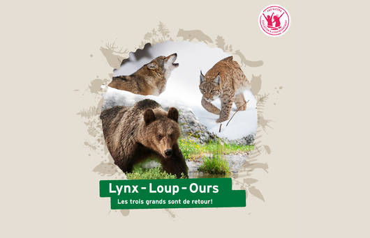 Page de couverture du dossier pédagogique «Lynx - Loup - Ours» 