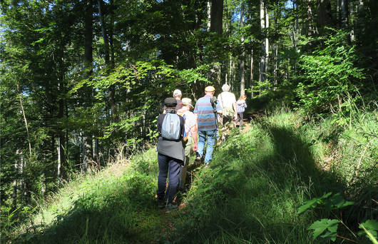 Exkursion Gelbringfalter © Elisabeth Contesse