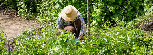 Frau bei der Gartenarbeit © Matthias Sorg