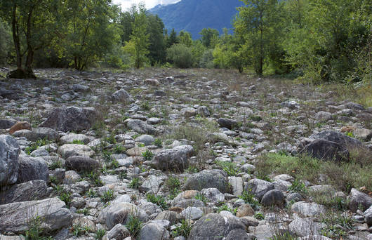 Überschwemmungsfläche Verzasca