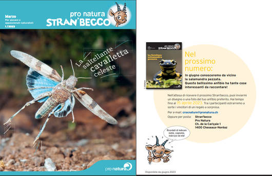 La copertina © Pro Natura