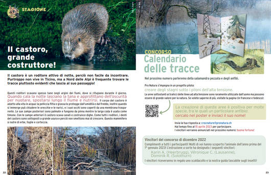 L'articolo stagionale © Pro Natura