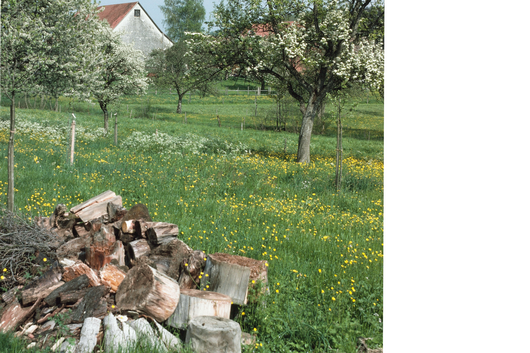 Niststruktur Wildbienen