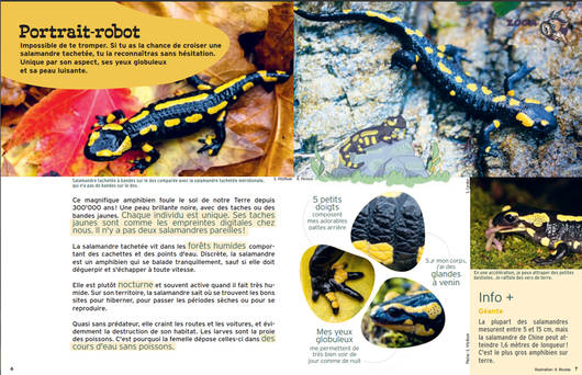 Les pages Zoom © Pro Natura