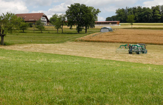 Düngen mit Schleppschlauch