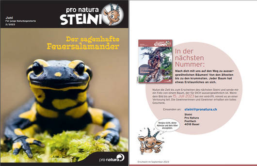 Titelbild letzte Seite © Pro Natura