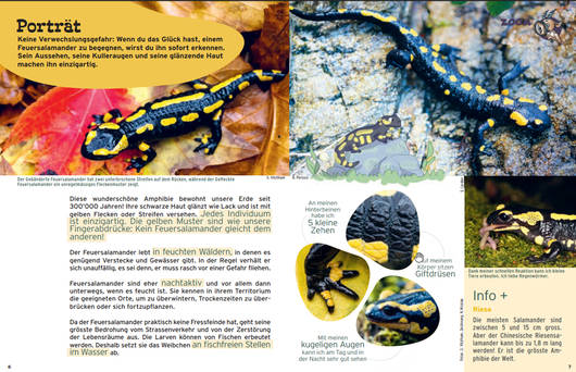 Zoomseite © Pro Natura