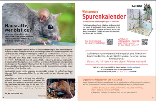 Steiniartikel zur Jahreszeit © Pro Natura