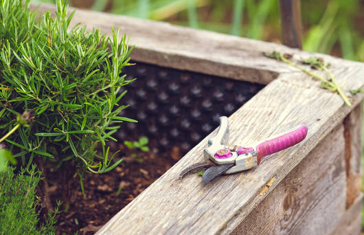 Gartenpflege
