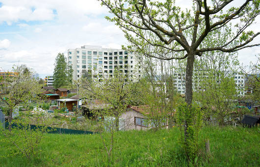 Wertvolle Lebensräume im Siedlungsraum © Angela Peter 