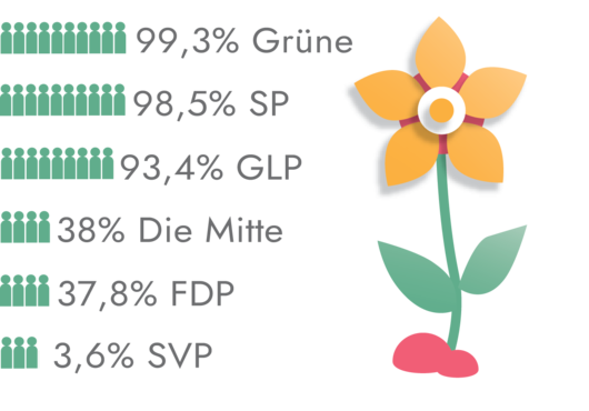 Wahlen © Isabelle Bühler/Vera Howard