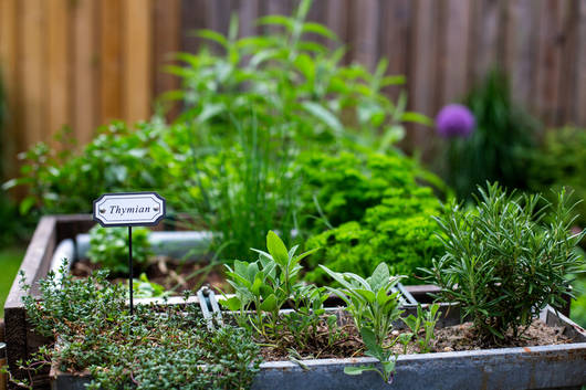 Balkongarten