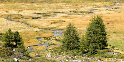 Mäandrierender Bergbach im Val de Réchy VS