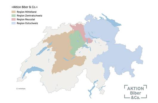 Schweizerkarte mit regionalen Aktionen Biber & Co.