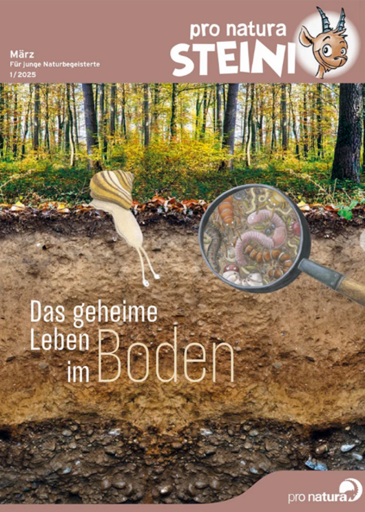 Magazin Steini Das geheime Leben im Boden