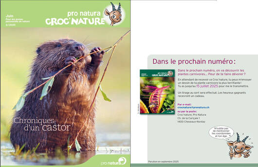 Titelbild letzte Seite © Pro Natura